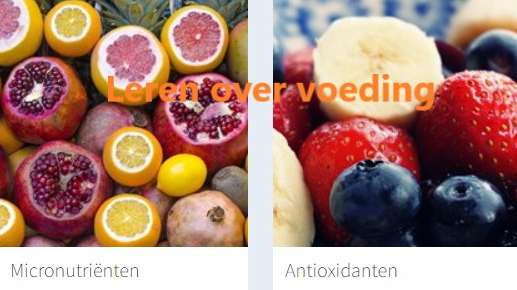 E-Learning Voeding en Sport