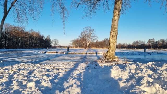 Nog geen natuurijs? IJsclubs in de voorbereiding!